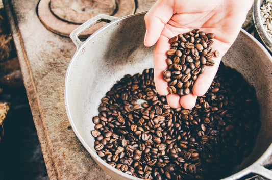 Jaguar Coffee Tour Through Latin American Coffee: El Salvador